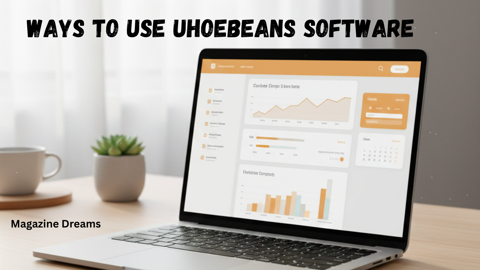 Ways to Use Uhoebeans Software